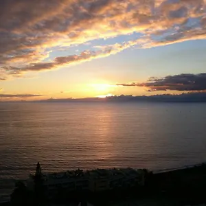 Shearwaters - Sounds Of The Sea Apartment